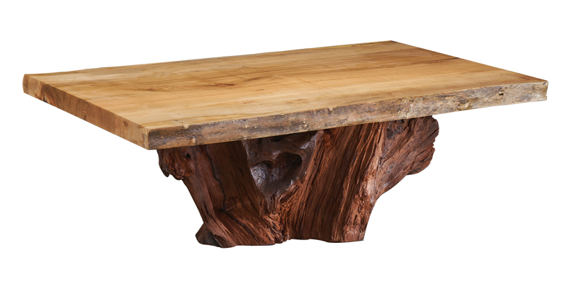 Wormy Maple Coffee Table with Redwood Stump Base